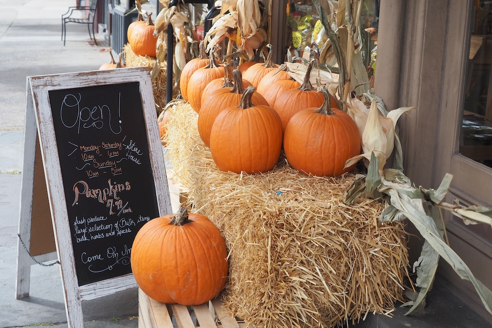 small business in the fall-time